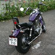 Suzuki LS650 Savage
