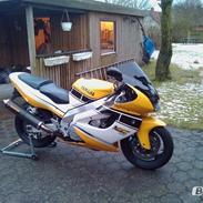 Yamaha Yzf 1000 thunderace