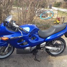 Suzuki GSX 600F