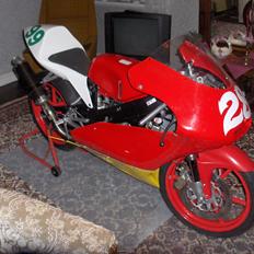 Honda RS125R/CRF250R