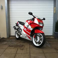 Honda CBR 600 F2 PC25