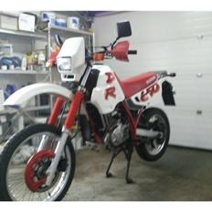 Suzuki DR 650 R