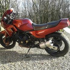 Yamasaki fz 750