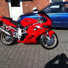 Suzuki TL1000s (solgt)