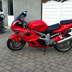 Suzuki TL1000s (solgt)
