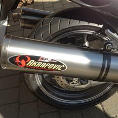 Honda CBR 1100 xx Blackbird