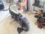 Lifan 250/440