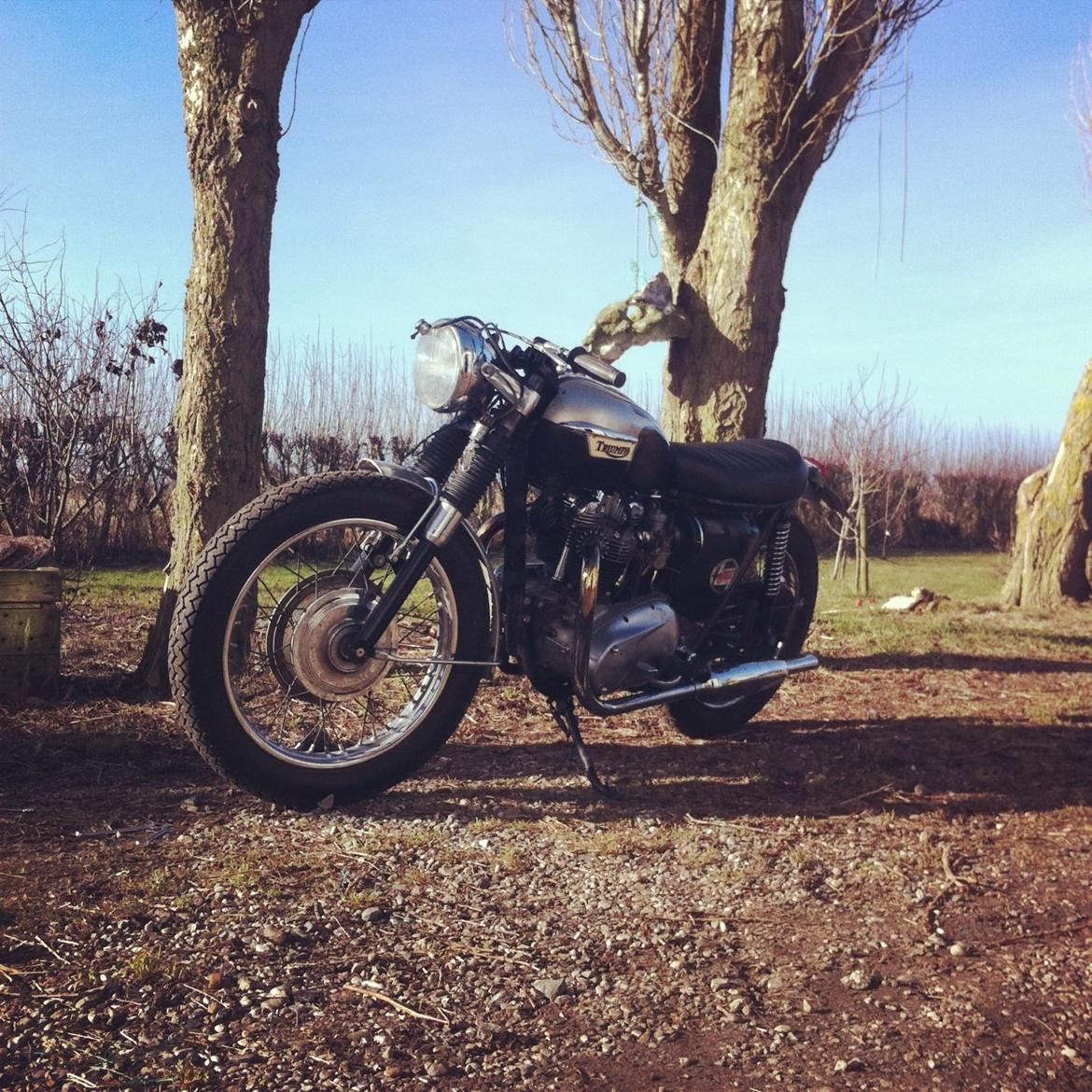 Triumph Bonneville T120R billede 8