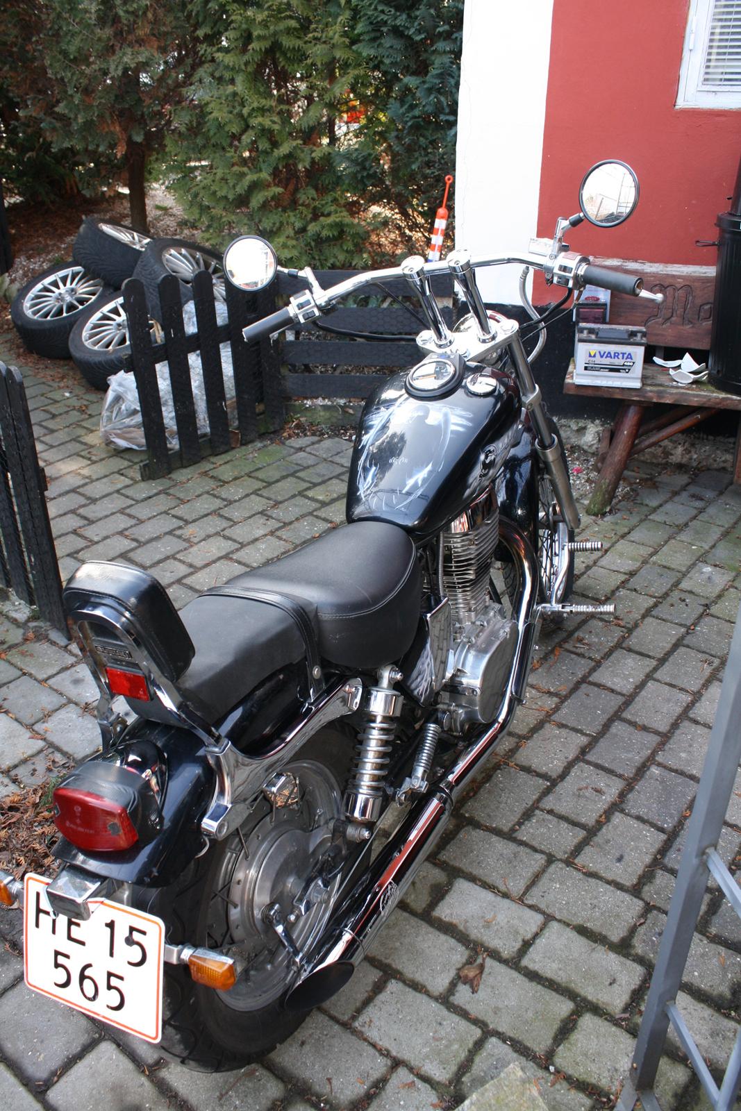 Suzuki ls 650 billede 6
