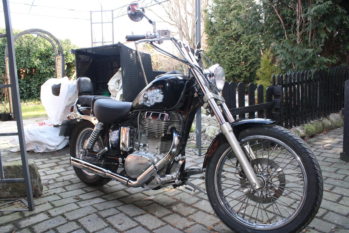 Suzuki ls 650 billede 7