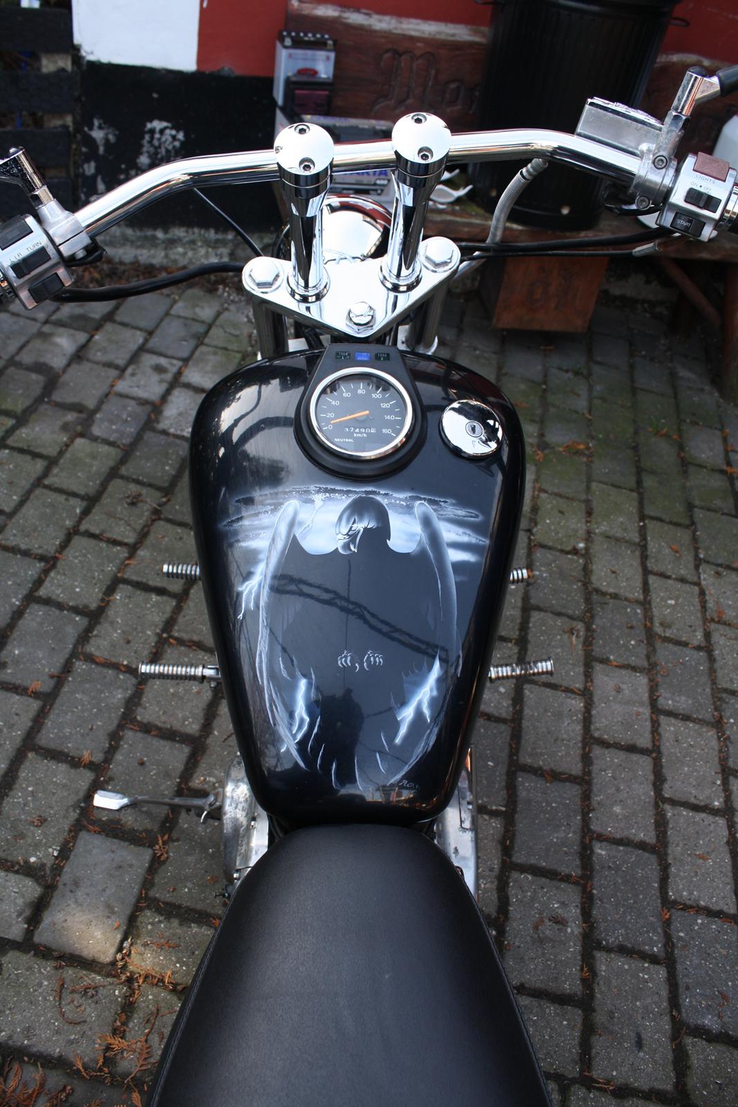 Suzuki ls 650 billede 5