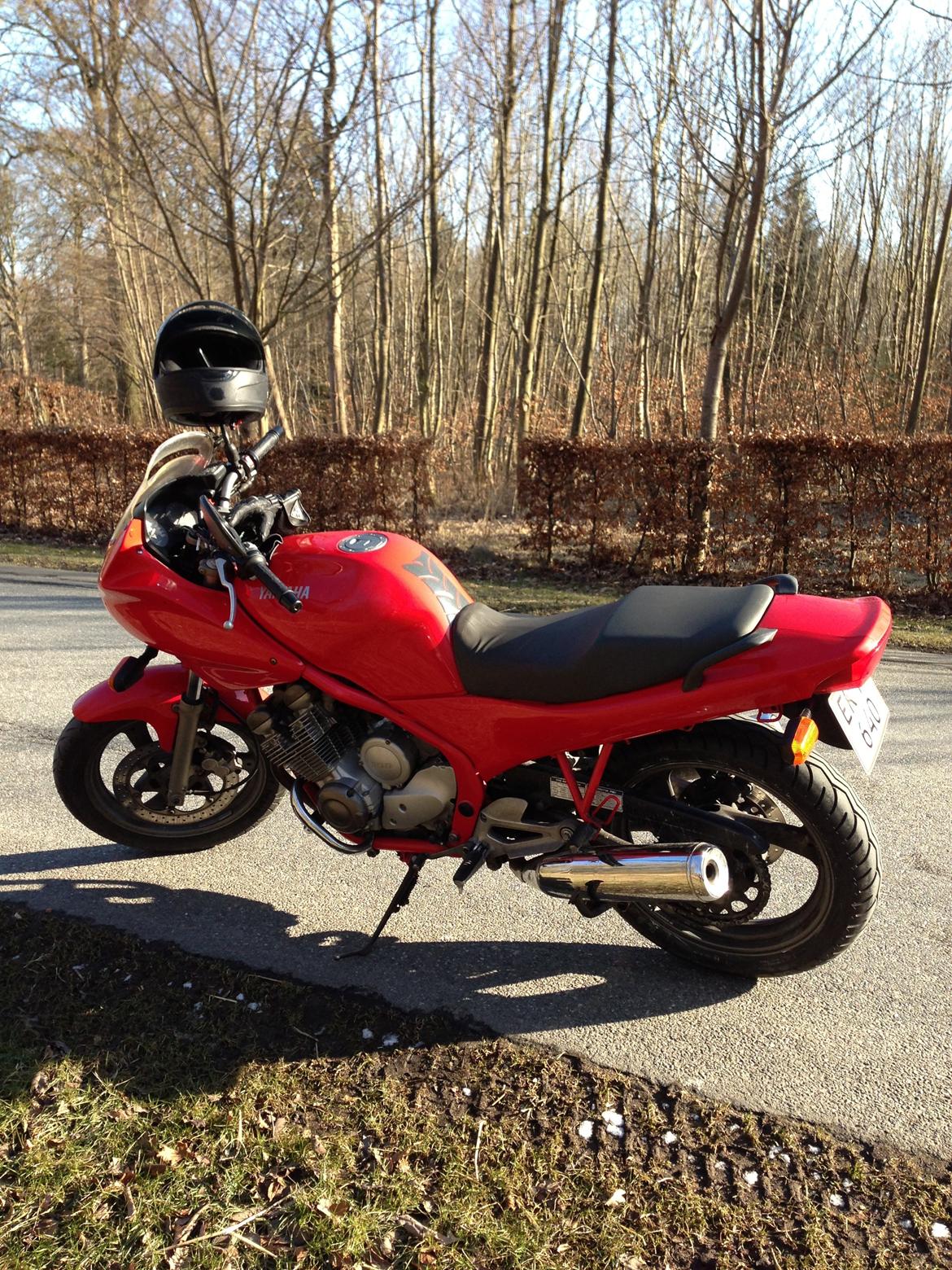 Yamaha XJ 600S billede 5