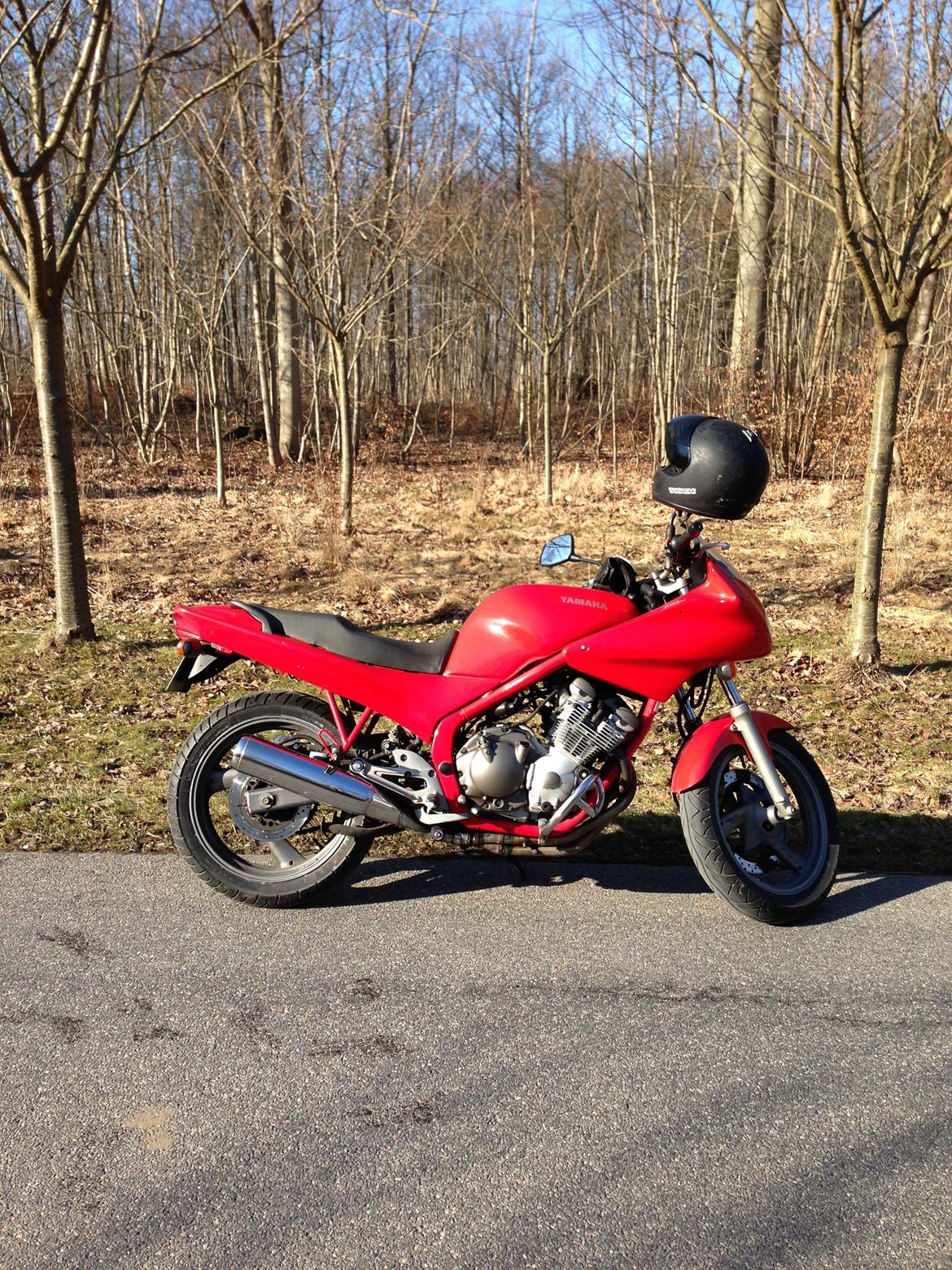 Yamaha XJ 600S billede 9