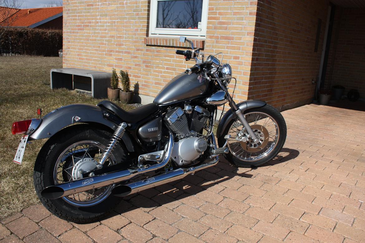 Yamaha xv 250 Virago billede 2