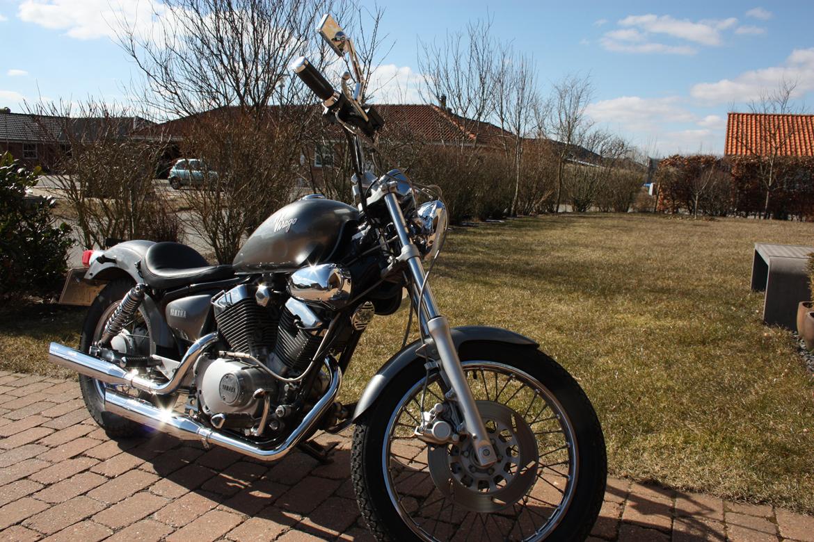 Yamaha xv 250 Virago billede 5