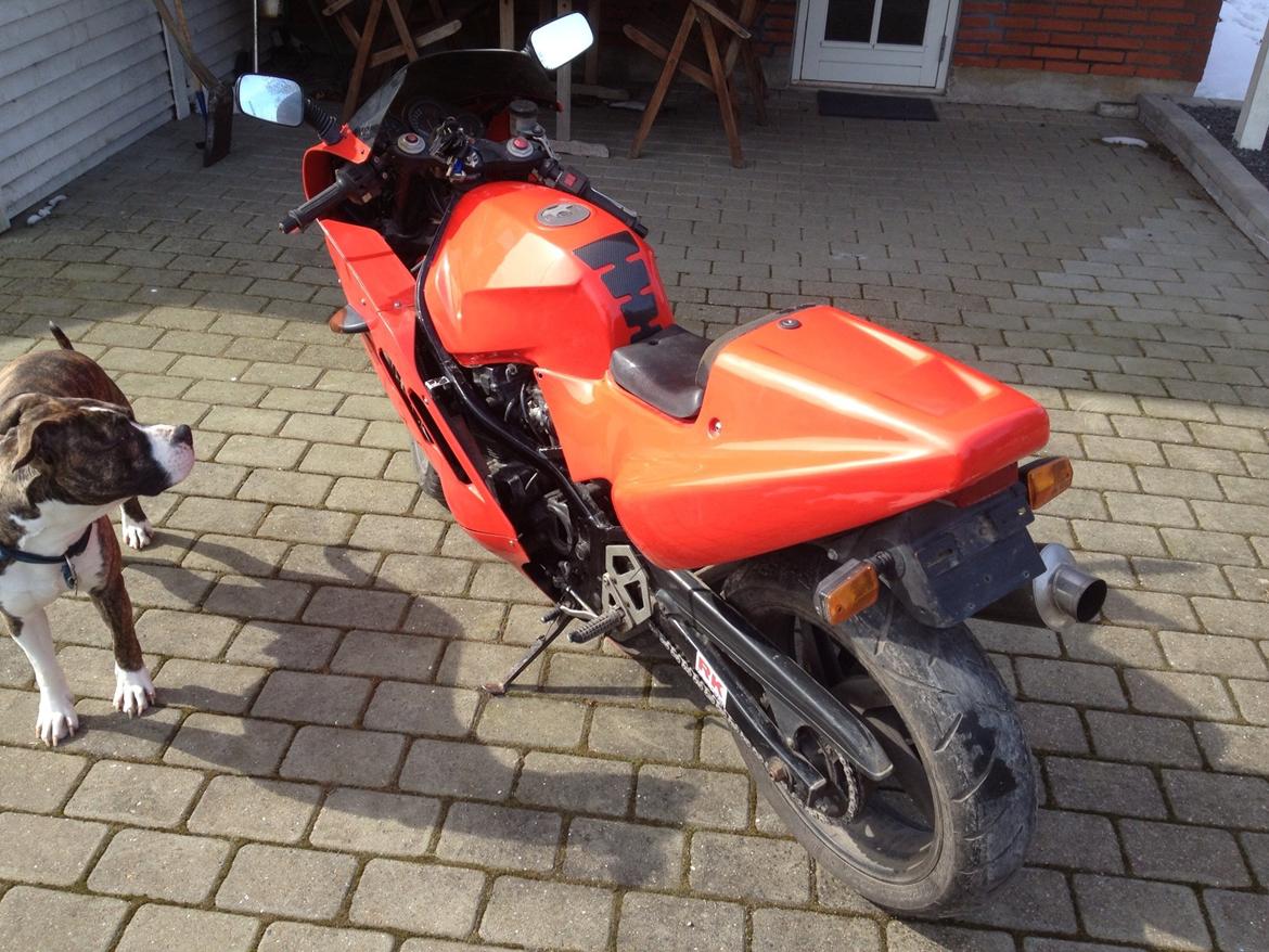 Suzuki Gsx 400 ( Gsxr 400 ) billede 5
