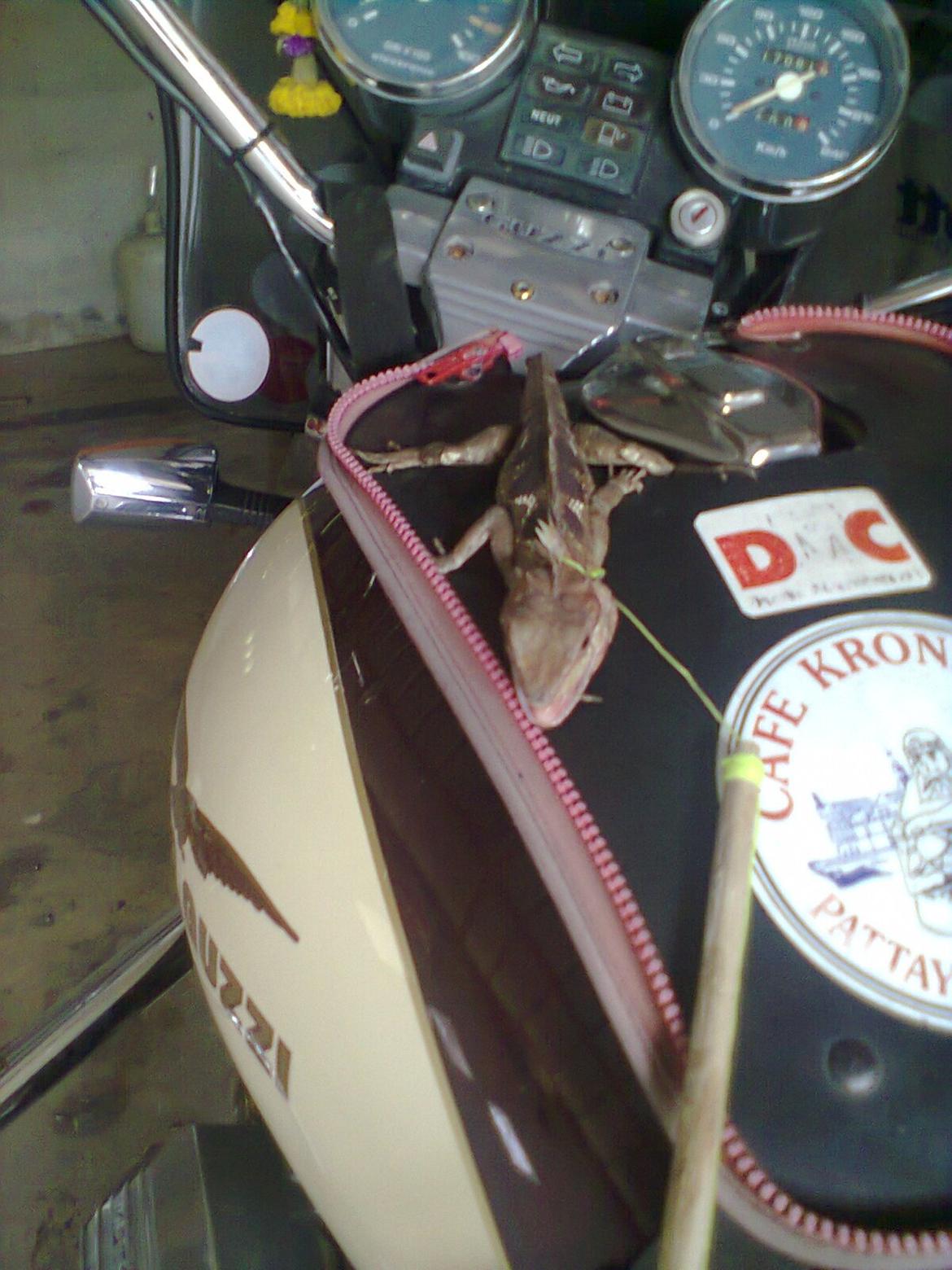 Moto Guzzi california 3 - aftensmad billede 15