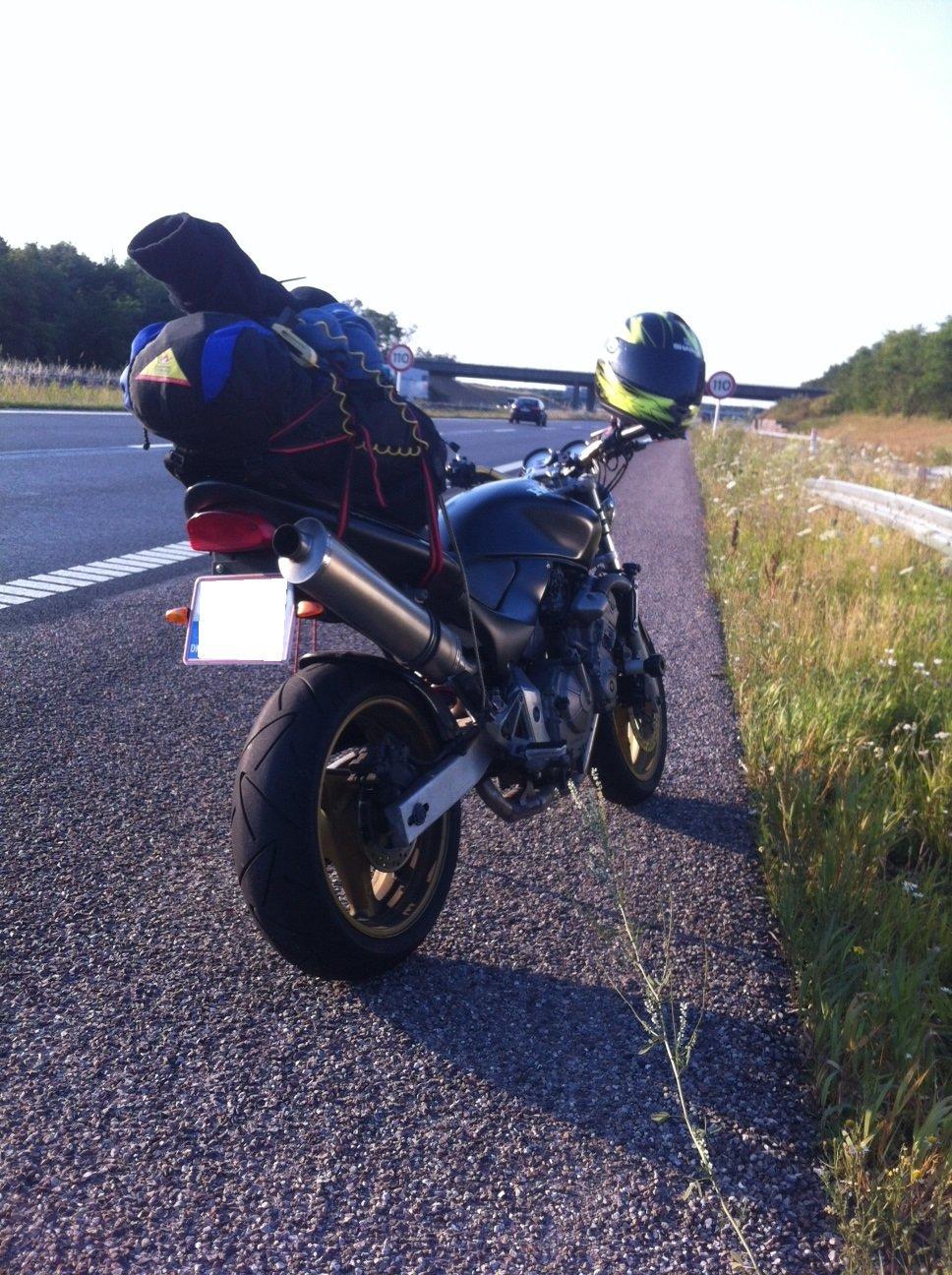 Honda CB 600 Hornet billede 1