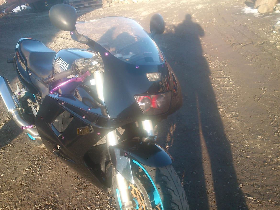 Yamaha FZR 1000 billede 4