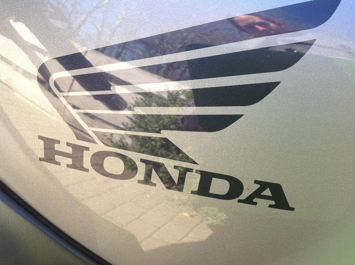 Honda CBR 1100 xx Blackbird billede 11