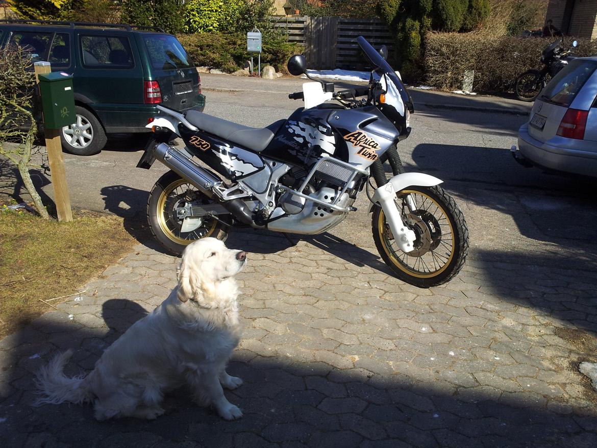 Honda XRV 750 Africa Twin - Africaneren pryder indkørslen sammen med familiens blondine... aka Fiona billede 7