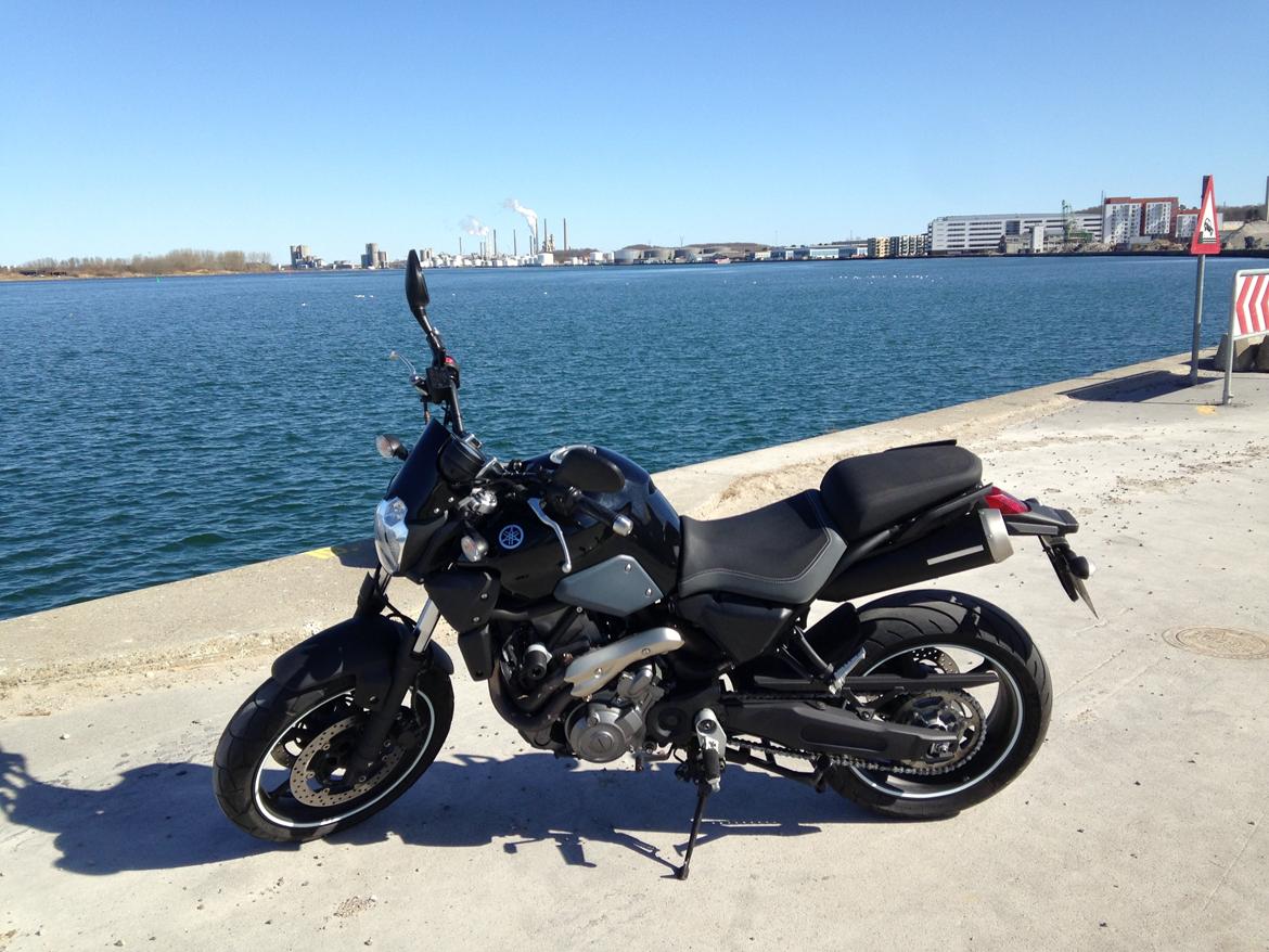 Yamaha MT 03 billede 1