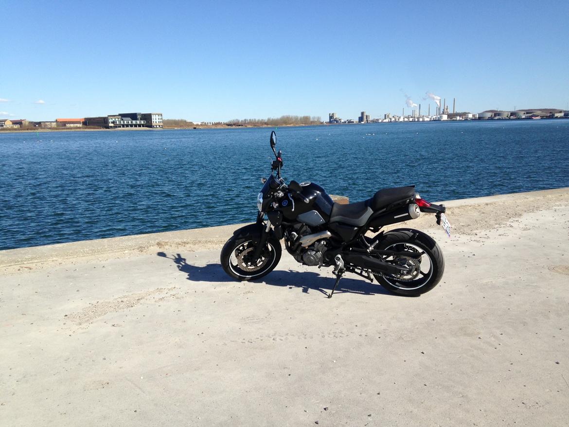 Yamaha MT 03 billede 4