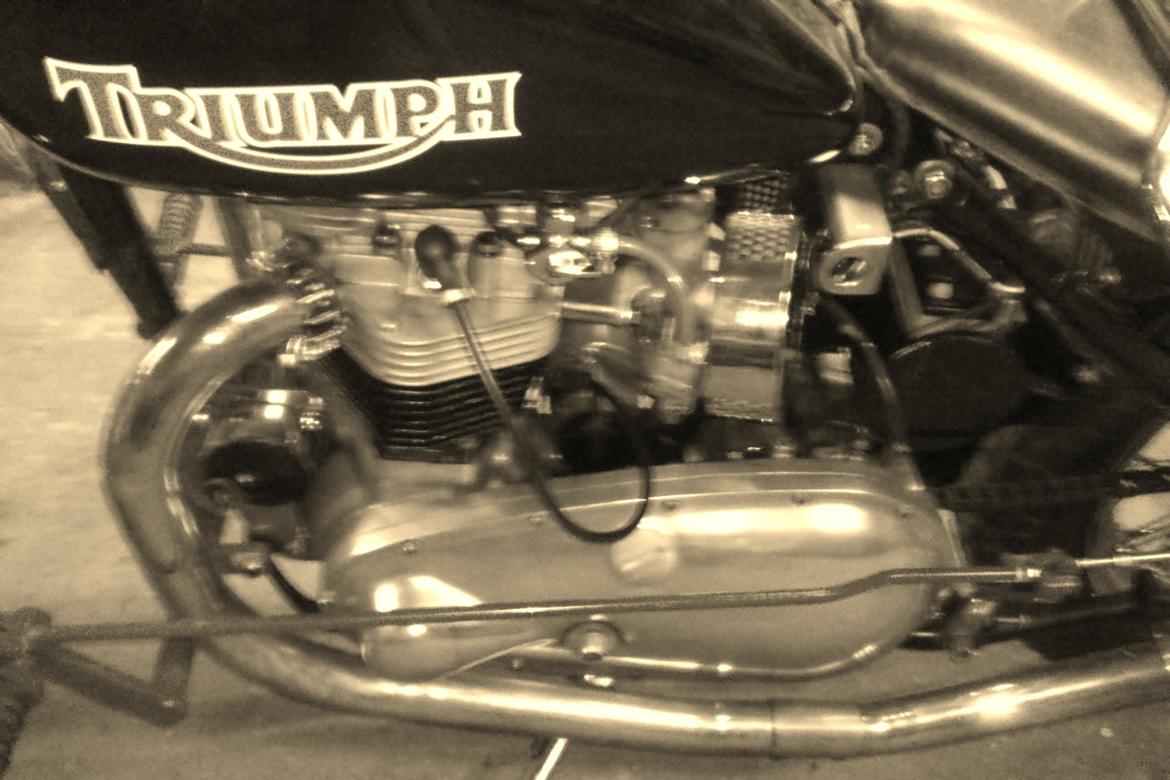 Triumph 6T Thunderbird billede 10