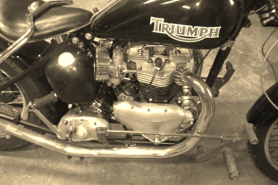 Triumph 6T Thunderbird billede 11