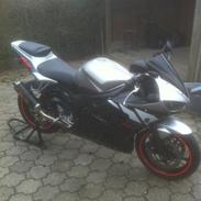 Yamaha R6 limited edition 