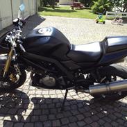 Suzuki SV1000