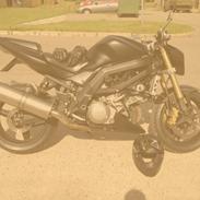 Suzuki SV1000