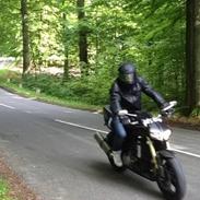Suzuki SV1000