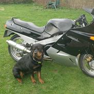 Kawasaki zx 10 tidl motorcykel solgt