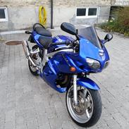 Suzuki SV 650 S