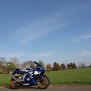 Yamaha R6