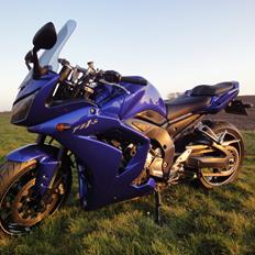 Yamaha FZ1-S
