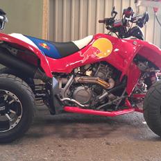 Hyosung Hyosung TE450