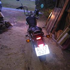 Yamaha xv 250 virago