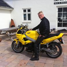 Triumph Sprint RS 955i