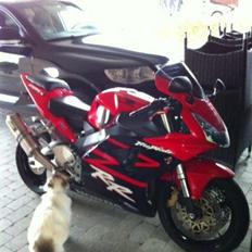 Honda CBR 954 RR Fireblade