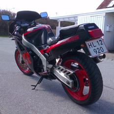 Yamaha Fzr 1000
