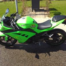 Kawasaki Ninja 300 ABS