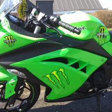 Kawasaki Ninja 300 ABS