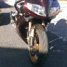 Suzuki SV 1000 SOLGT