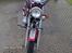 Ledow Borelli CXM 250