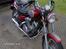 Ledow Borelli CXM 250