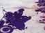 Honda vt600 shadow