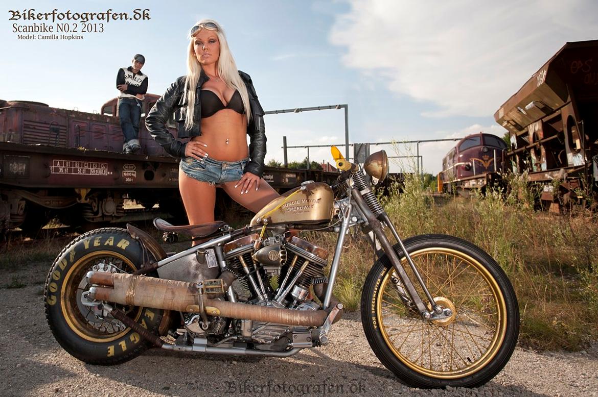Harley Davidson rat--costum panhead fl billede 12