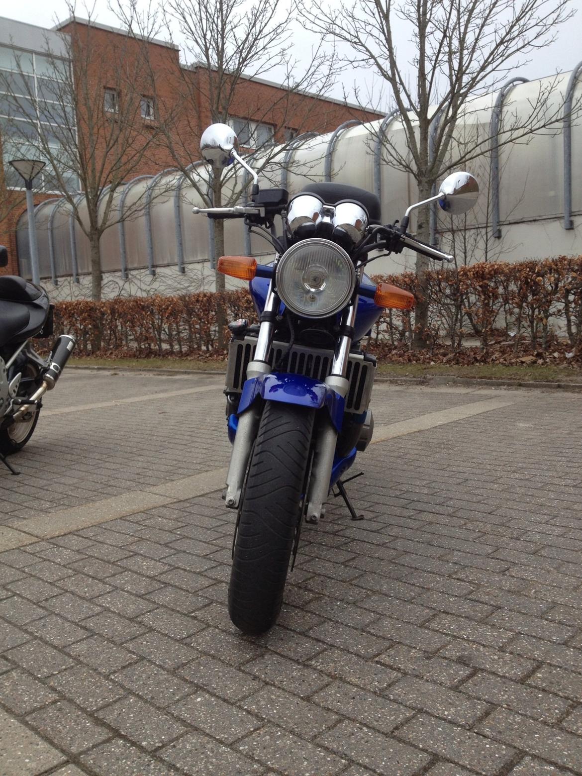 Honda CB 600 F Hornet (SOLGT!) billede 6